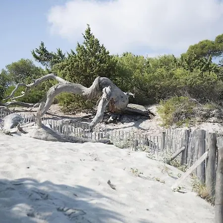 Daire T2 Village Oletta (Corsica)