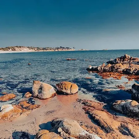 Lägenhet T2 Village Oletta (Corsica)