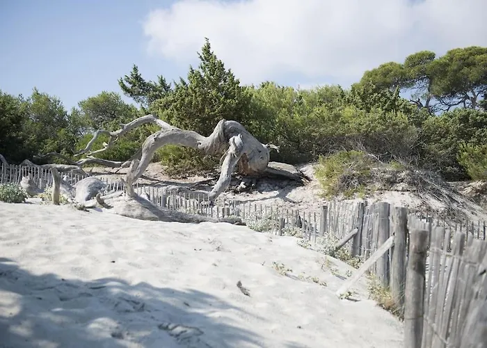 Apartman T2 Village Oletta